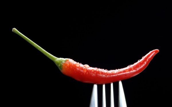 Humans Are The Only Animals That Enjoy Spicy Foods