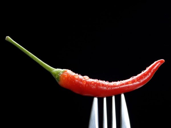 Humans Are The Only Animals That Enjoy Spicy Foods