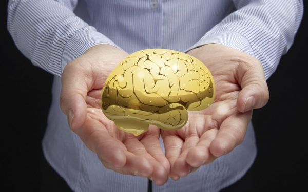 Humans Are The Only Animals Whose Brains Shrink