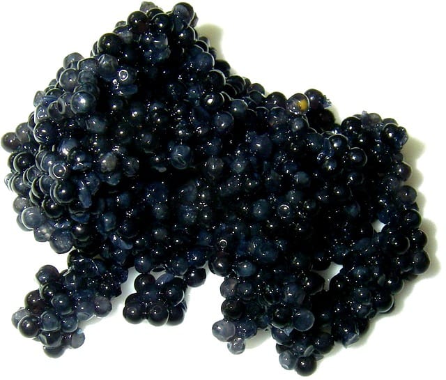 Beluga Caviar Is Illegal In The USA