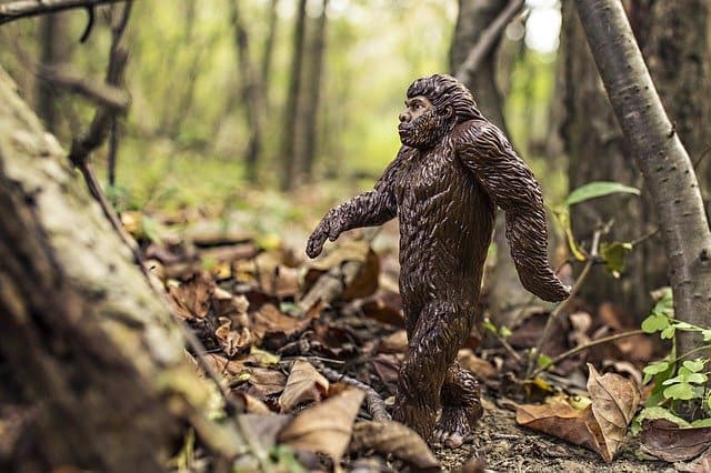 It is illegal to kill Bigfoot in Canada